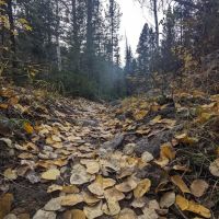 Boulder Lake Campground ico