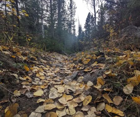 Boulder Lake Campground