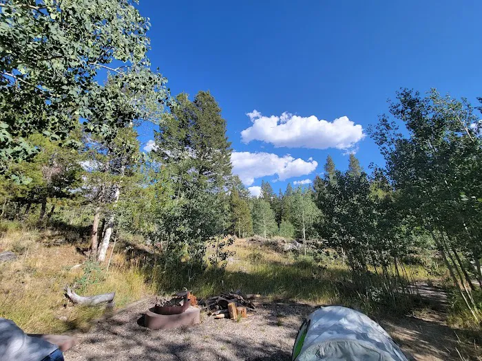 Scab Creek Campground Picture 2