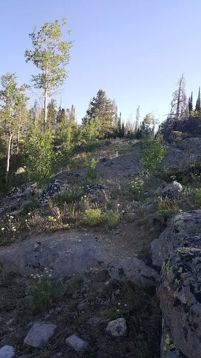 Scab Creek Campground Picture 9
