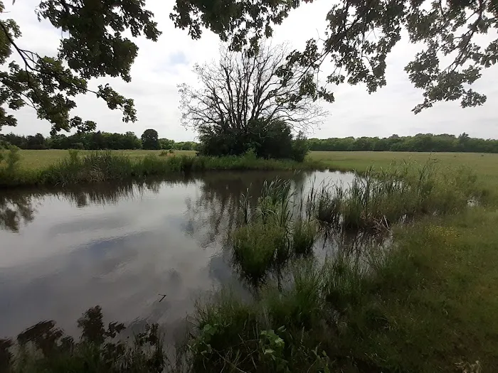 Lake Durant Campground Picture 6