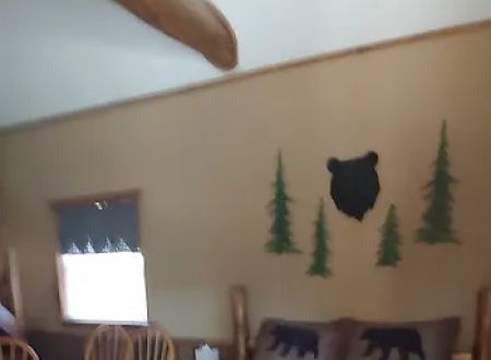 Custom Cabin Rental