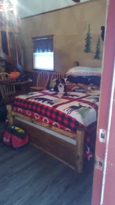 Custom Cabin Rental Picture 8