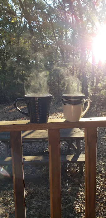 Custom Cabin Rental Picture 9