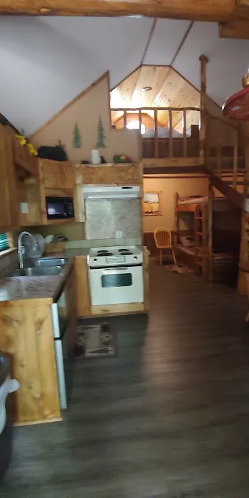 Custom Cabin Rental Picture 10