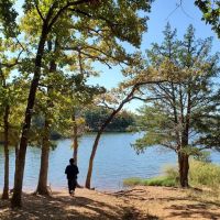 Buckhorn Campground Loop ELECTRICAL AND SHOWER ico