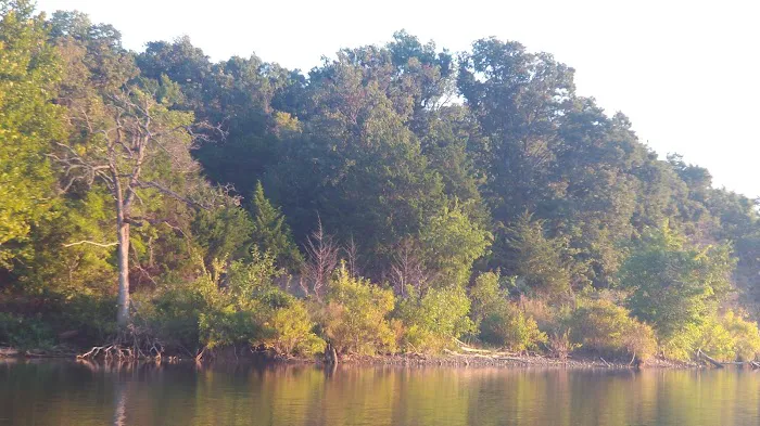 Buckhorn Campground Loop B Picture 9