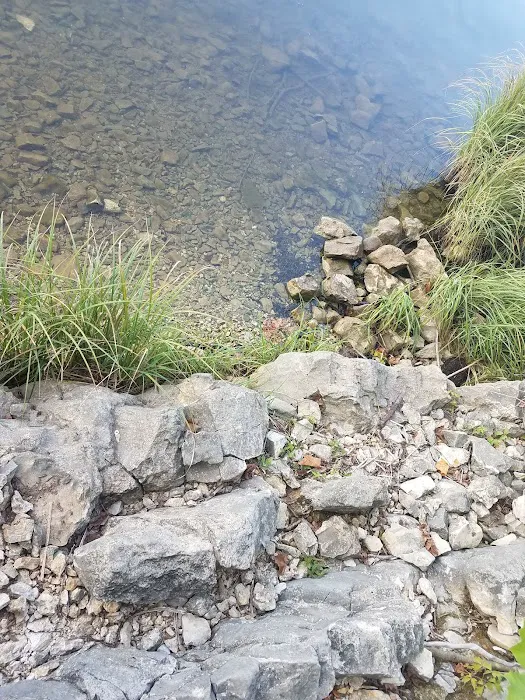 Buckhorn Campground Loop B Picture 10