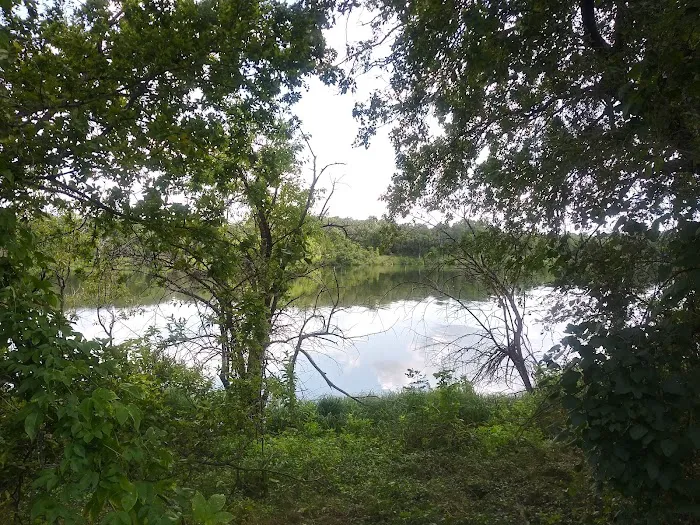 Buckhorn Campground Loop A Picture 8