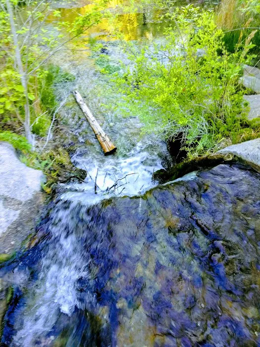 Rock Creek Campground Picture 6