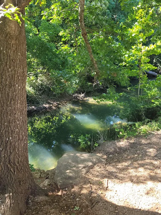 Central Campgrounds Picture 4