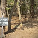 Cold Springs Campground