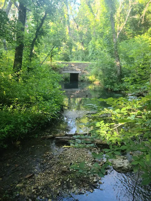 Cold Springs Campground Picture 6