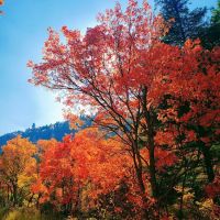 Lodge Campground ico