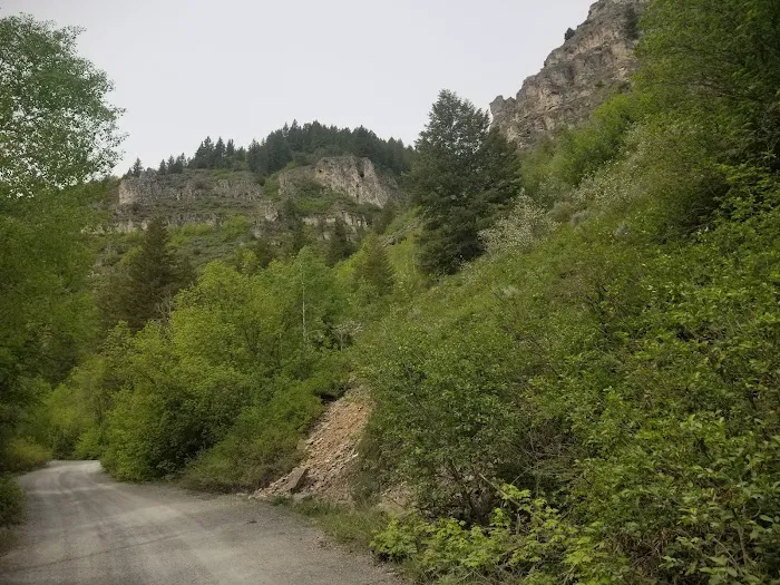 Lodge Campground Picture 7