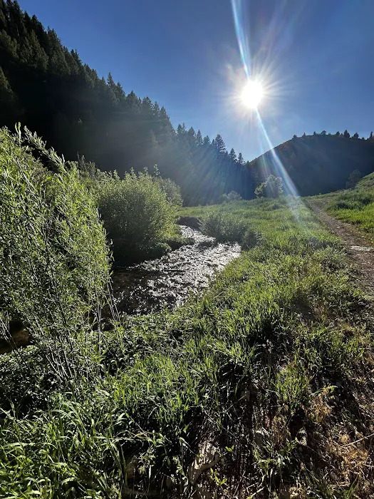 Camp Lomia Picture 5
