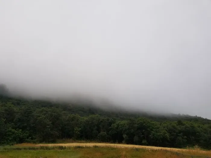 Maple Rise Recreation Camp Picture 9