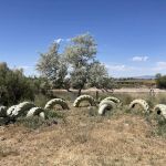 Rivers Edge Campground