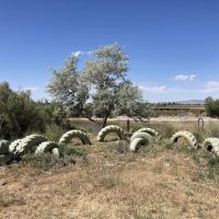 Rivers Edge Campground ico