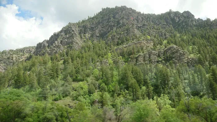 Bridger Campground Picture 3