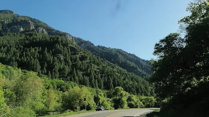 Bridger Campground Picture 6
