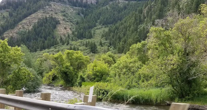 Bridger Campground Picture 8