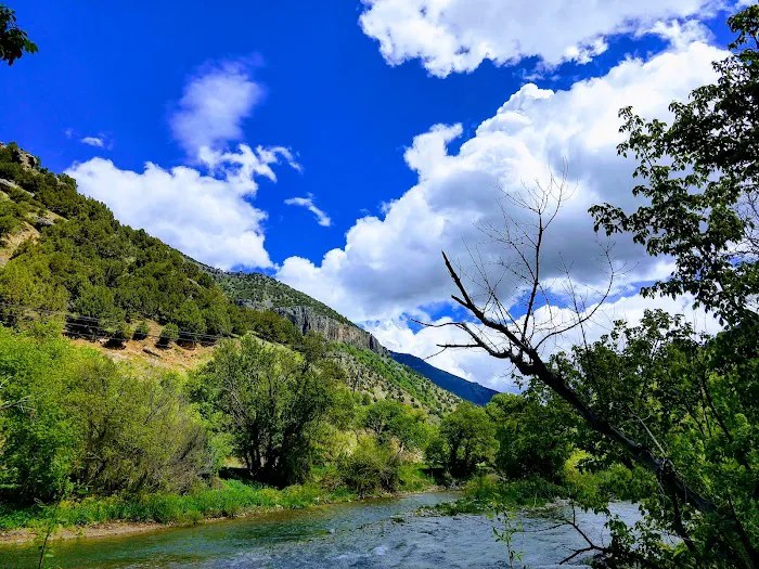 Bridger Campground Picture 7