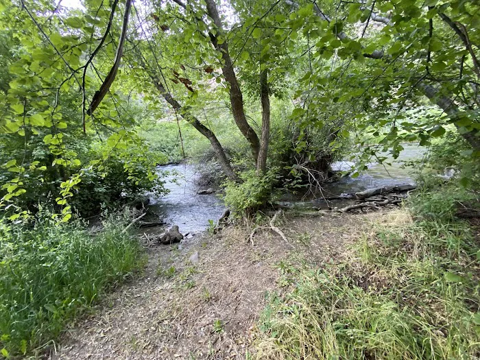 Bridger Campground Picture 9