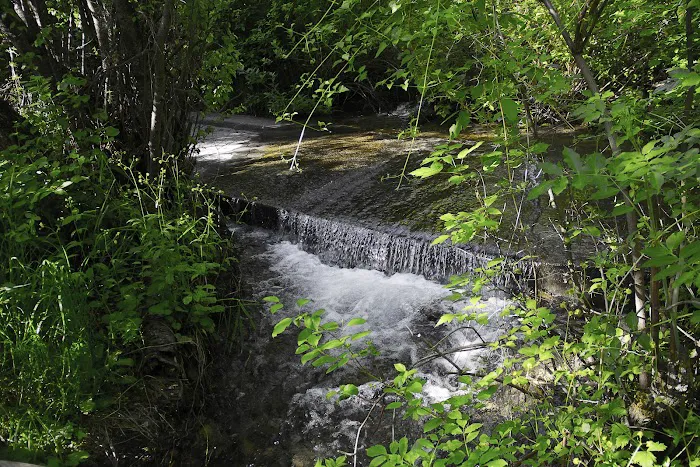 Spring Hollow Campground Picture 6