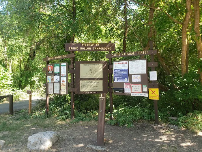 Spring Hollow Campground Picture 9