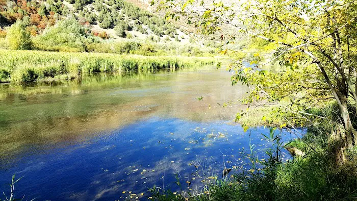 Malibu Campground Picture 2