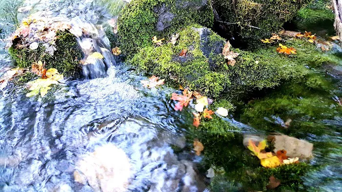 Malibu Campground Picture 5