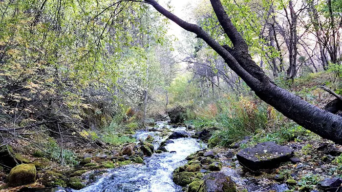 Malibu Campground Picture 6