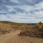 Dip Hollow Spring