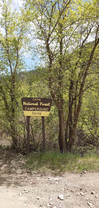 Spring Campground Picture 2