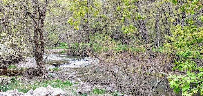 Spring Campground Picture 1