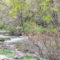 Spring Campground ico