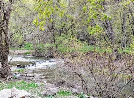 Spring Campground