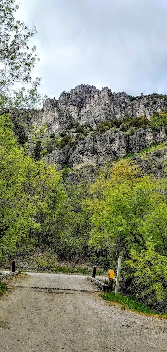 Spring Campground Picture 3