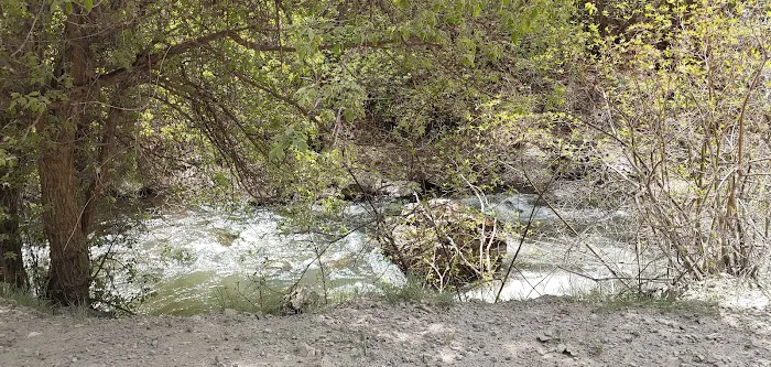 Spring Campground Picture 4