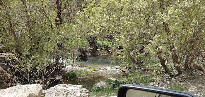 Spring Campground Picture 7