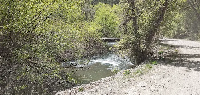 Spring Campground Picture 6