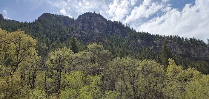 Spring Campground Picture 8