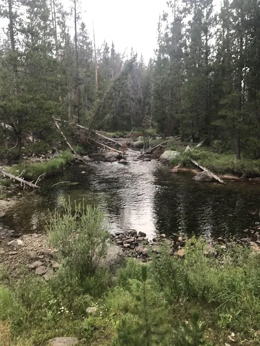 Big Sandy Campground Picture 3