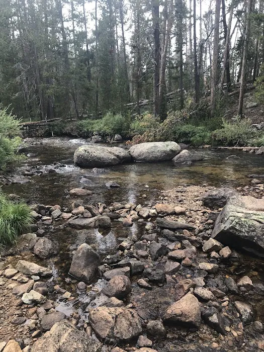 Big Sandy Campground Picture 6