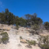 Juniper Ridge Campground ico
