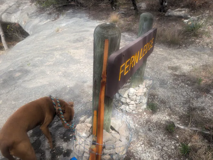 Juniper Ridge Campground Picture 7