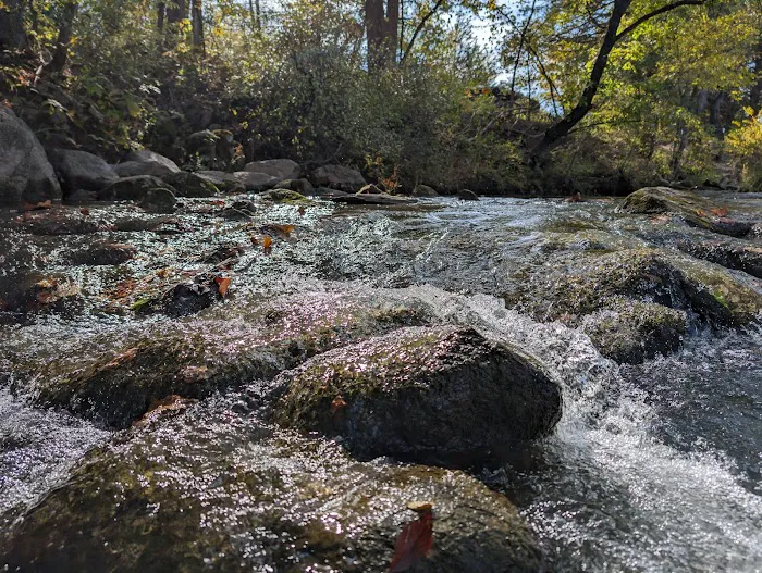 Blue River Campsites Picture 1