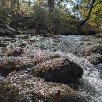 Blue River Campsites ico