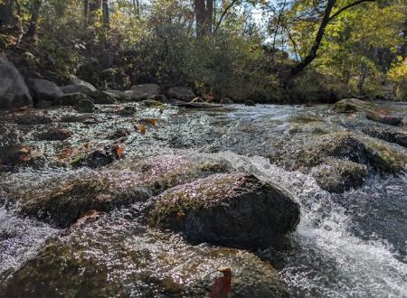 Blue River Campsites